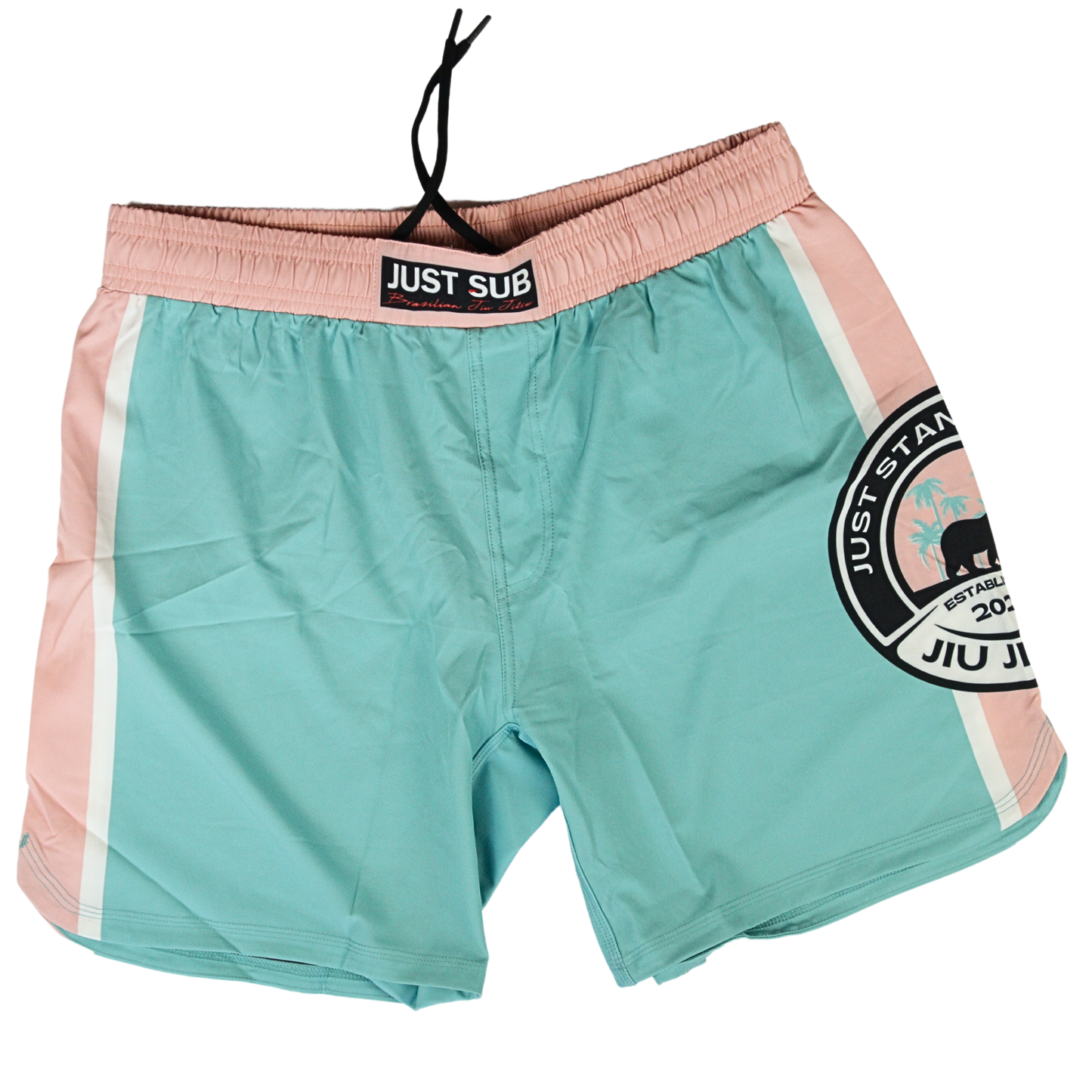 REAL TEAL SHORTS