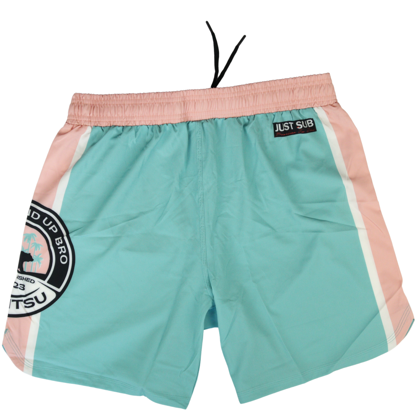 REAL TEAL SHORTS