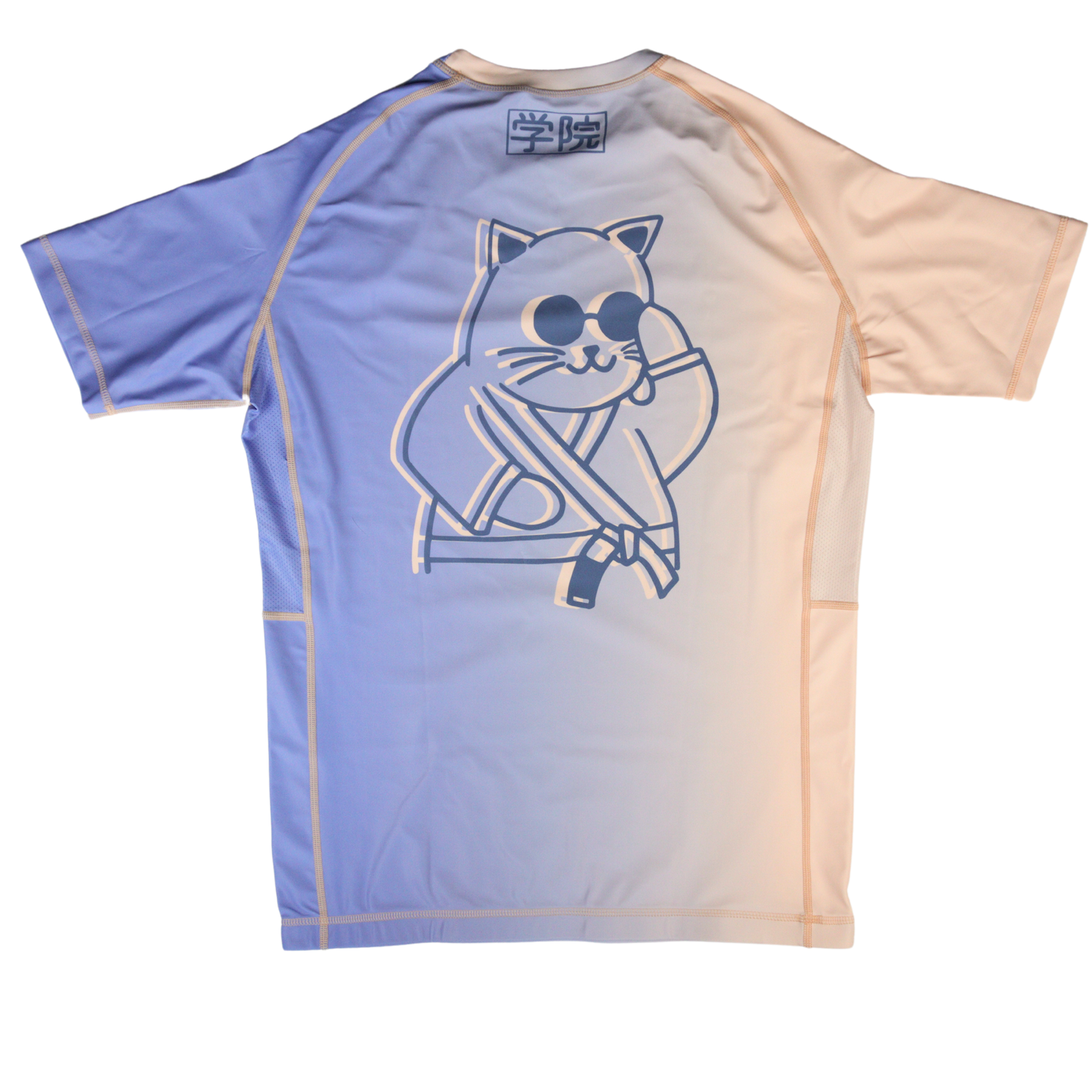 GATO SURF