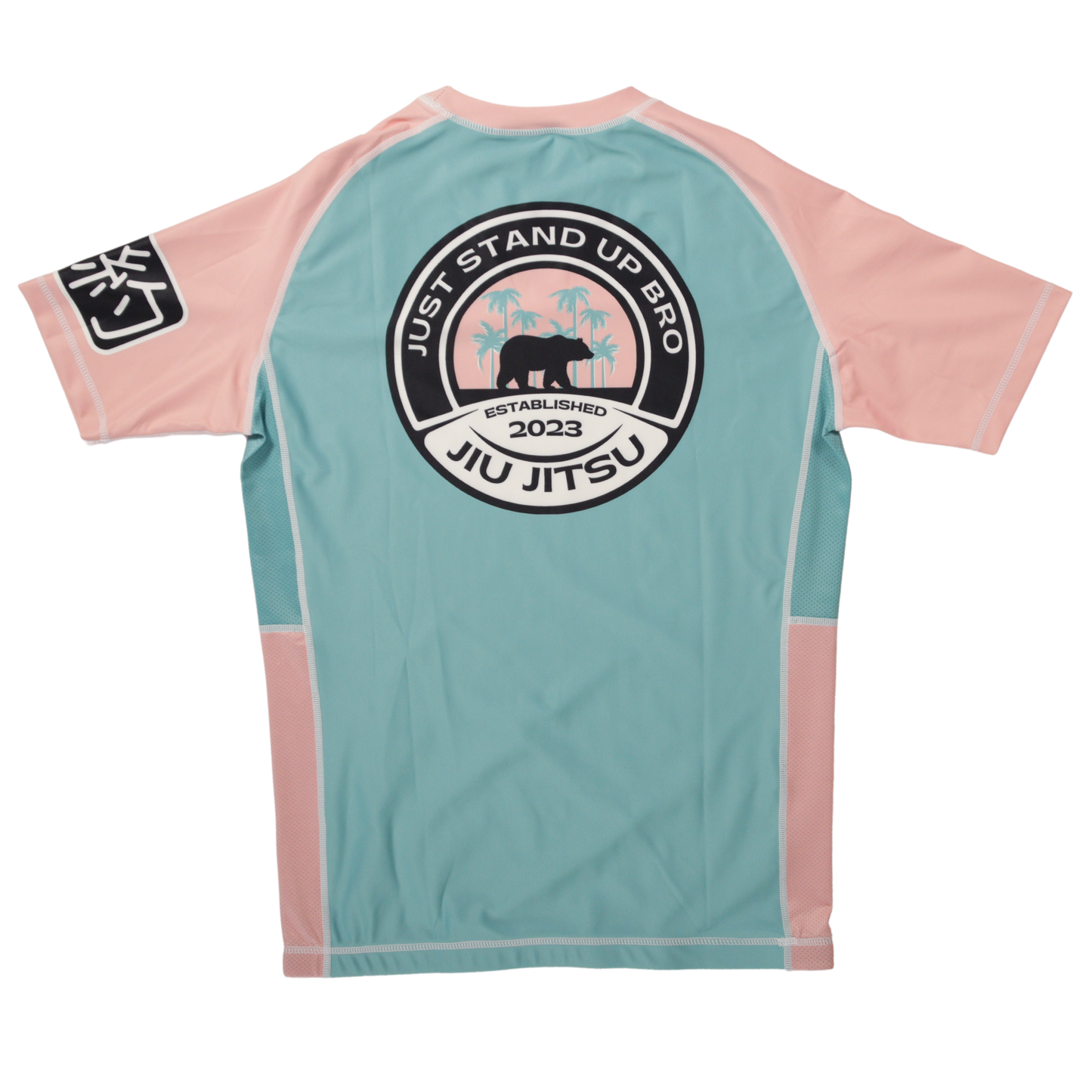 nogi bjj real teal rashguard back view