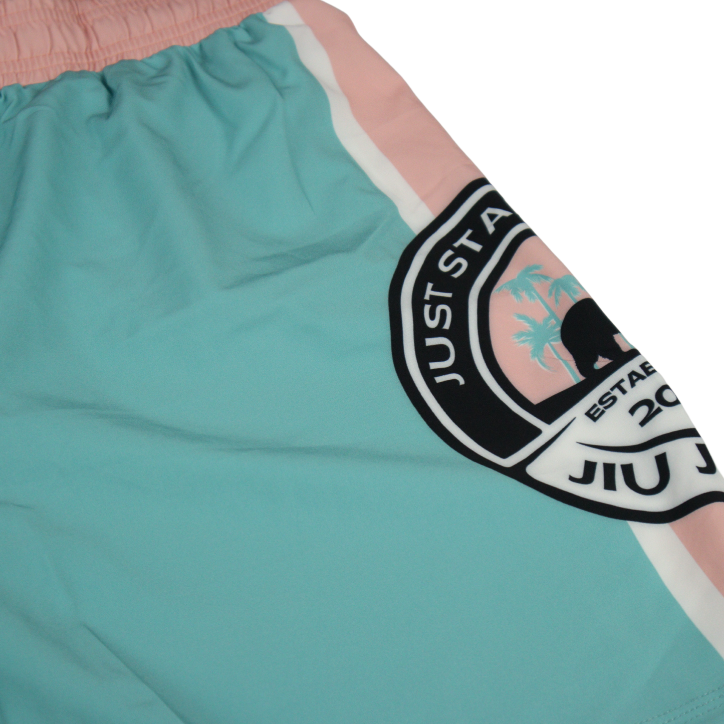 REAL TEAL SHORTS
